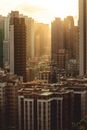 High Rise Buildings Basked in Sunlight
