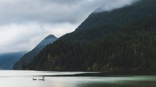 Immagine gratuita di acque calme, alberi, bellissimo