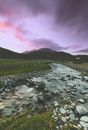 Purple Sky