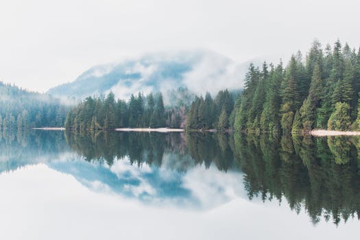 Misty morning reflection of evergreen trees on a calm lake in Port Moody, BC.