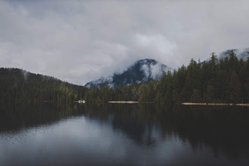 Ilmainen kuvapankkikuva tunnisteilla hämärä, havupuut, järvi