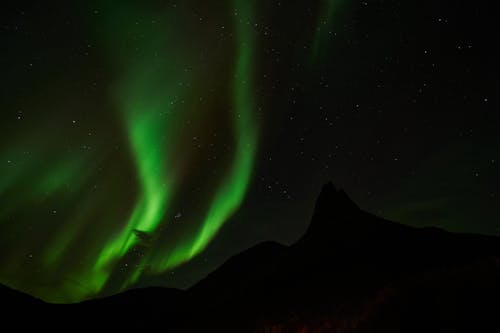 무료 밤, 북극광, 어두운 하늘의 무료 스톡 사진