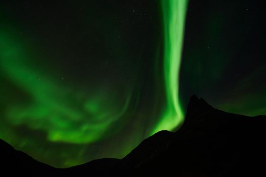 Vibrant green aurora borealis lights up the night sky above a silhouetted mountain.