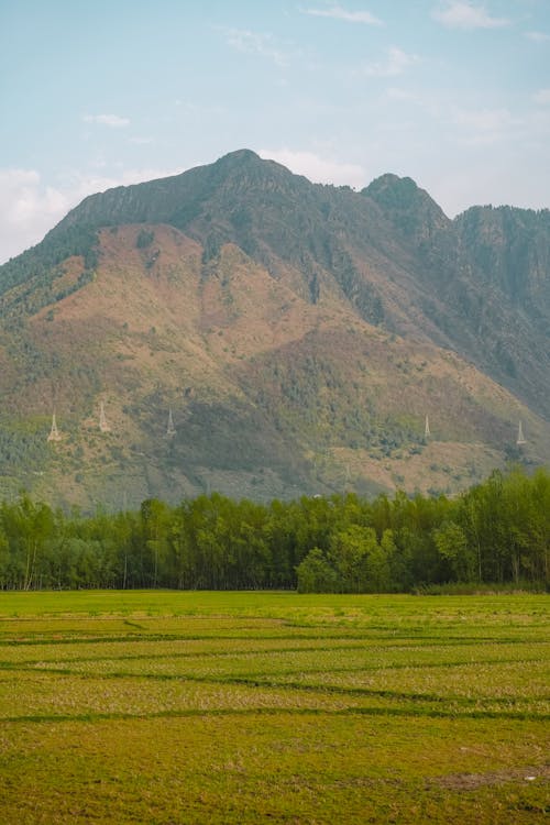 Δωρεάν στοκ φωτογραφιών με αγροτικός, βουνό, γεωργία Φωτογραφία από στοκ φωτογραφιών