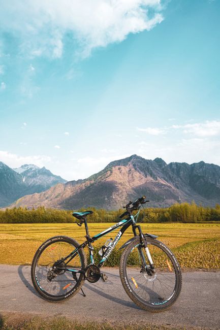 A mountain bike parked on a road with stunning mountains in the background.