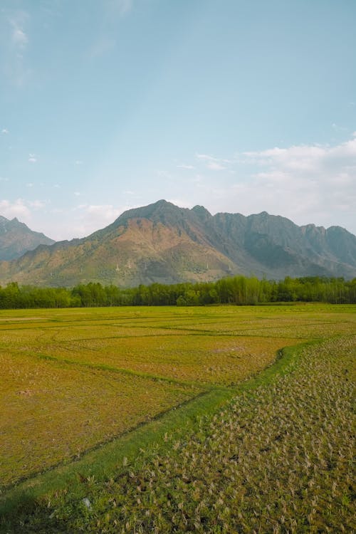 Δωρεάν στοκ φωτογραφιών με αγρόκτημα, αγροτικός, βουνό