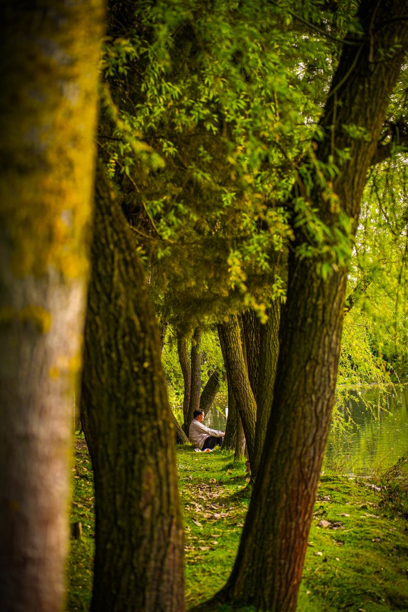 A mature man sitting in a tranquil park surrounded by lush greenery and trees.