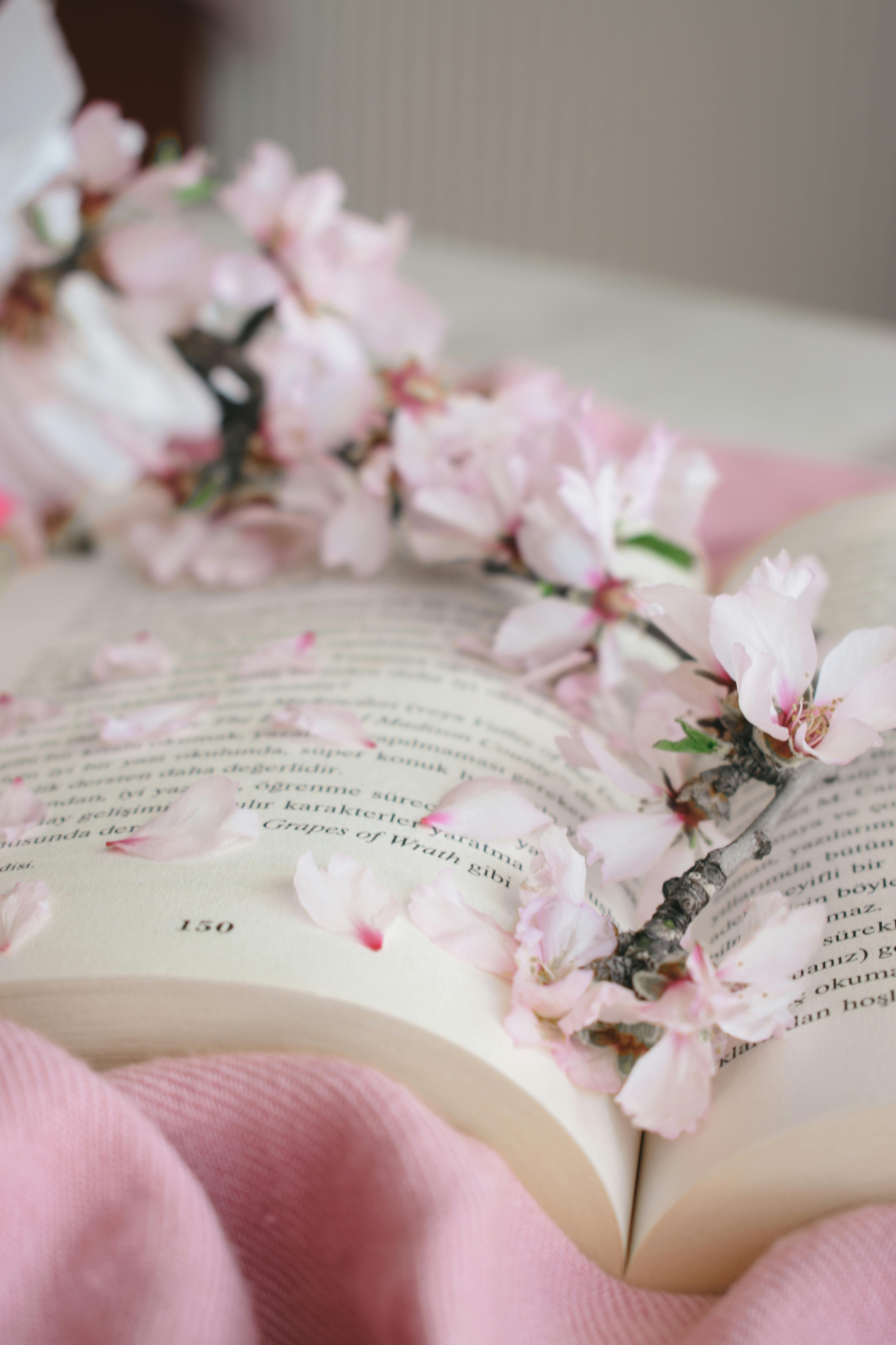 Pink Flowers on a Book · Free Stock Photo