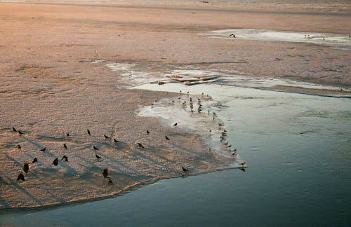 Kostenloses Stock Foto zu hohe winkelansicht, meer, strand