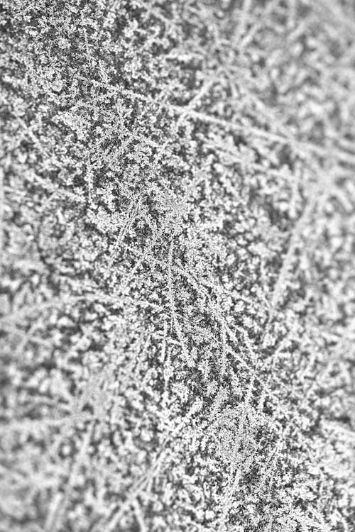 Kostnadsfri bild av abstrakt, frost, mobil tapeter