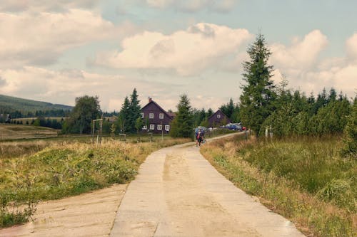 People Standing on Paved Pathway