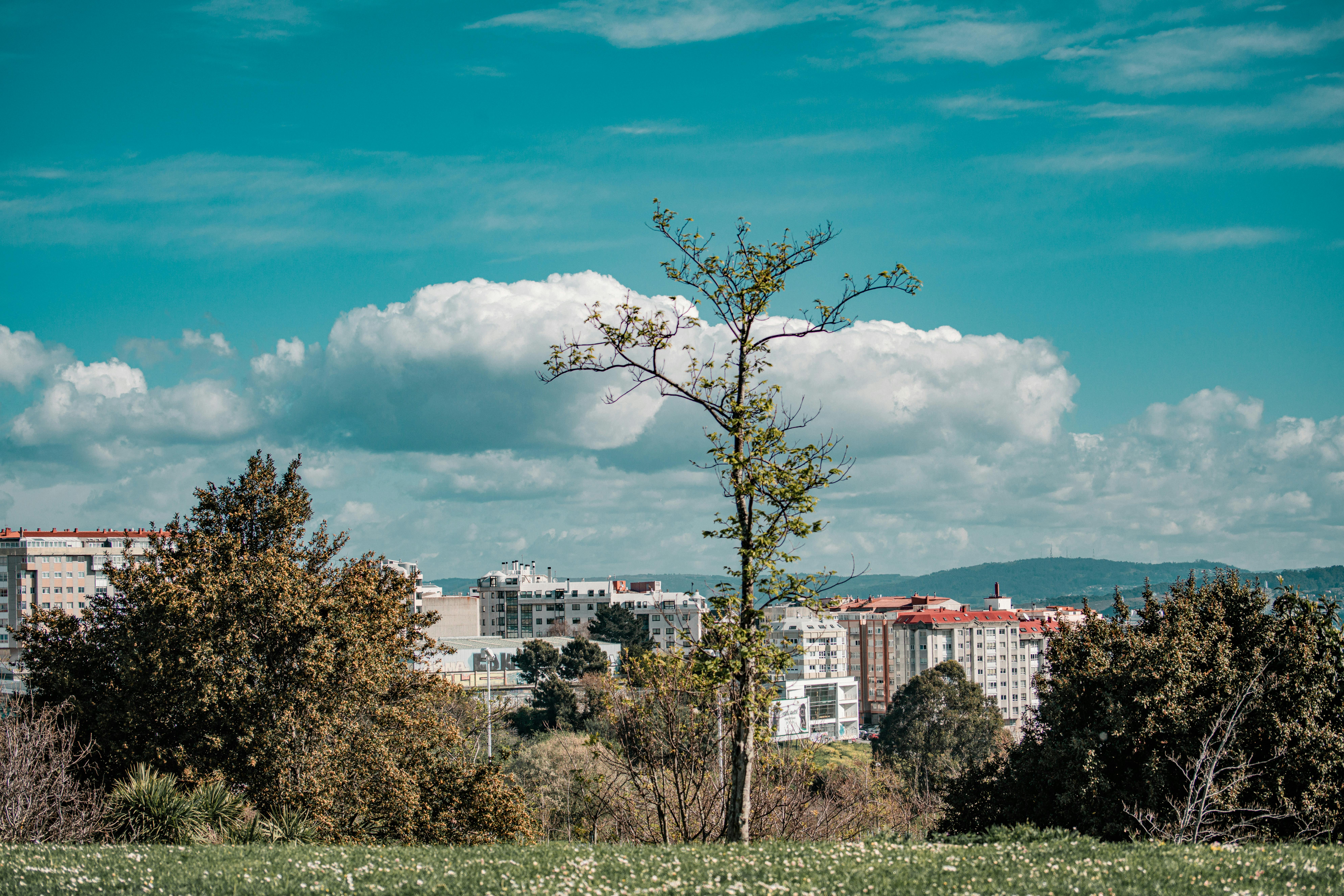 Kevadine ilm ootab nädalavahetuse algust