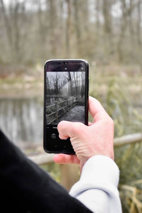 Free Person photographing a scenic outdoor setting with a smartphone, showcasing nature. Stock Photo