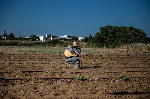 A Scarecrow with a Guitar in a Farm Field