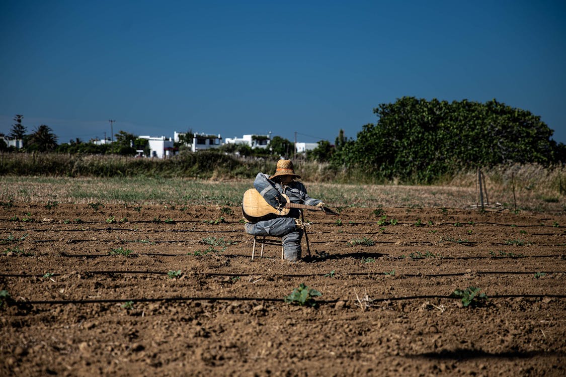 Foto stok gratis agrikultura, bidang, gitar