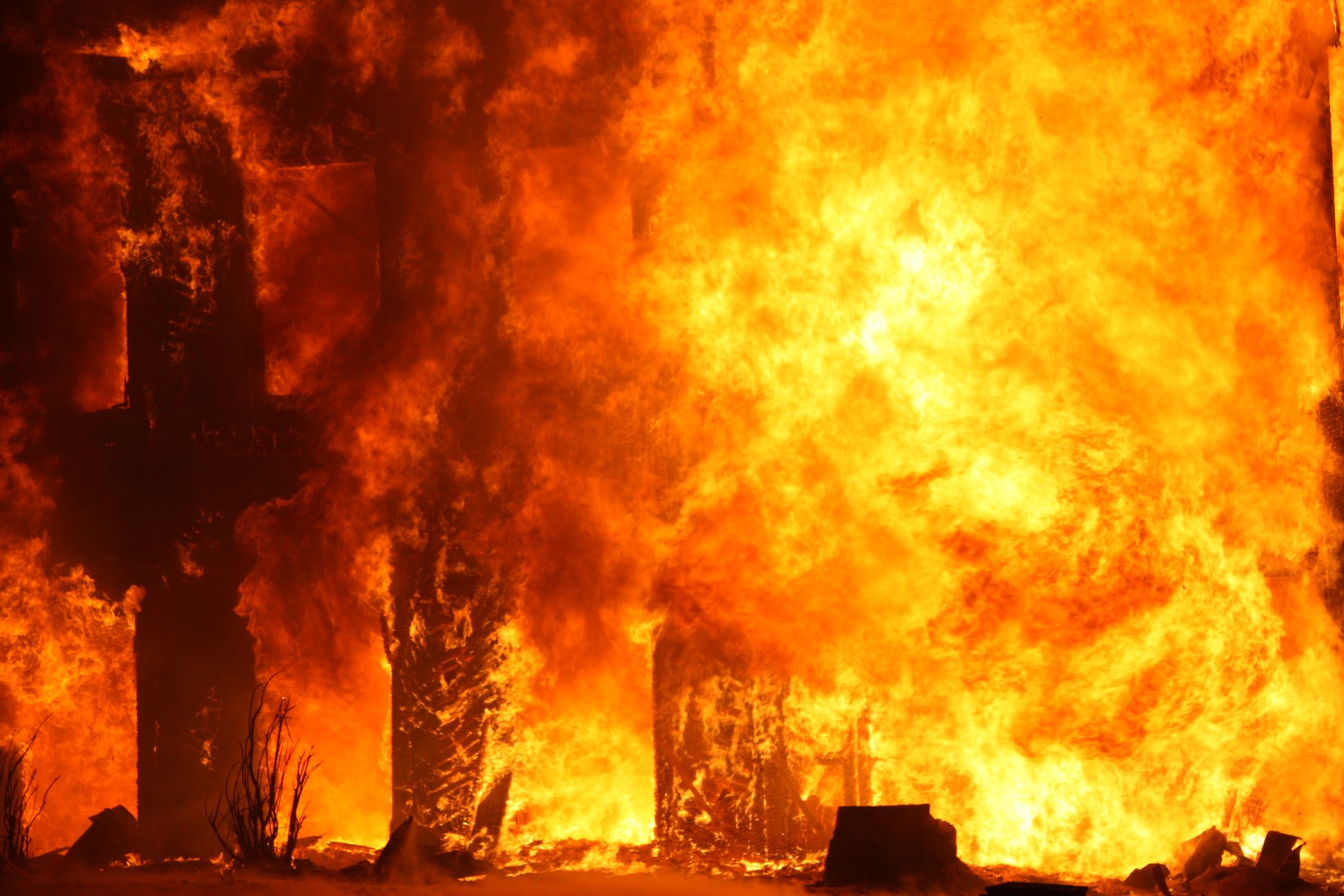 Wildfire Destroys Millions of Bees, Beekeeper Faces Future Concerns
