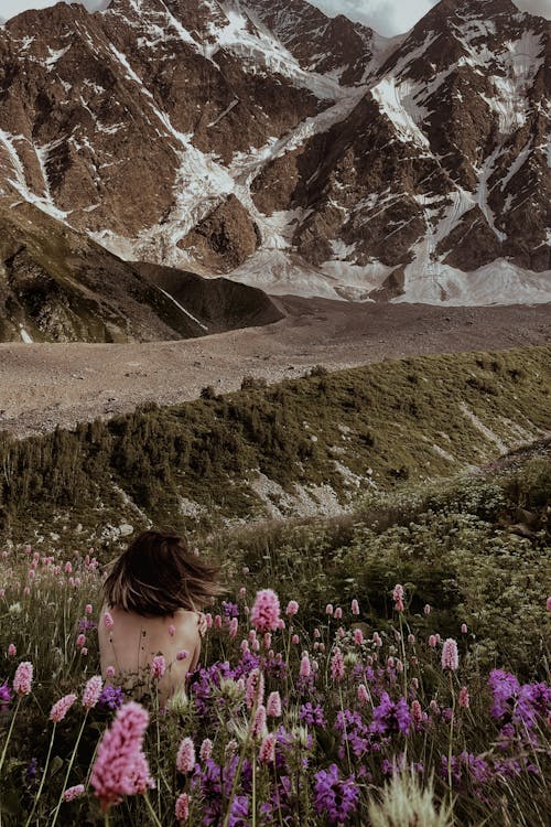 Foto d'estoc gratuïta de a l'aire lliure, assegut, d'esquena