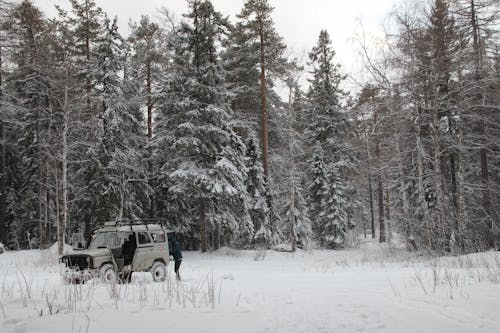 Vehicle Parked on Snow Covered Ground Near Trees