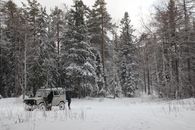 Vehicle Parked on Snow Covered Ground Near Trees