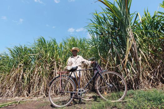Man Holding Bike