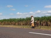 A Man in Brown Pants Standing Beside the Road