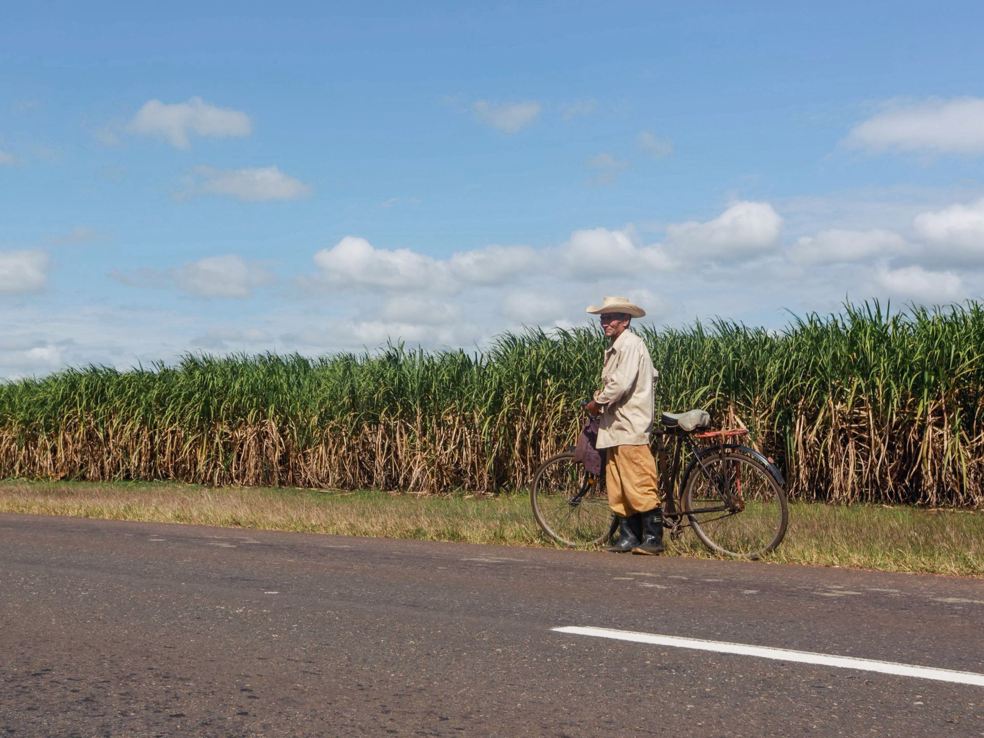 Elderly farmer stands beside bicycle on rural road near sugarcane field and blue sky.