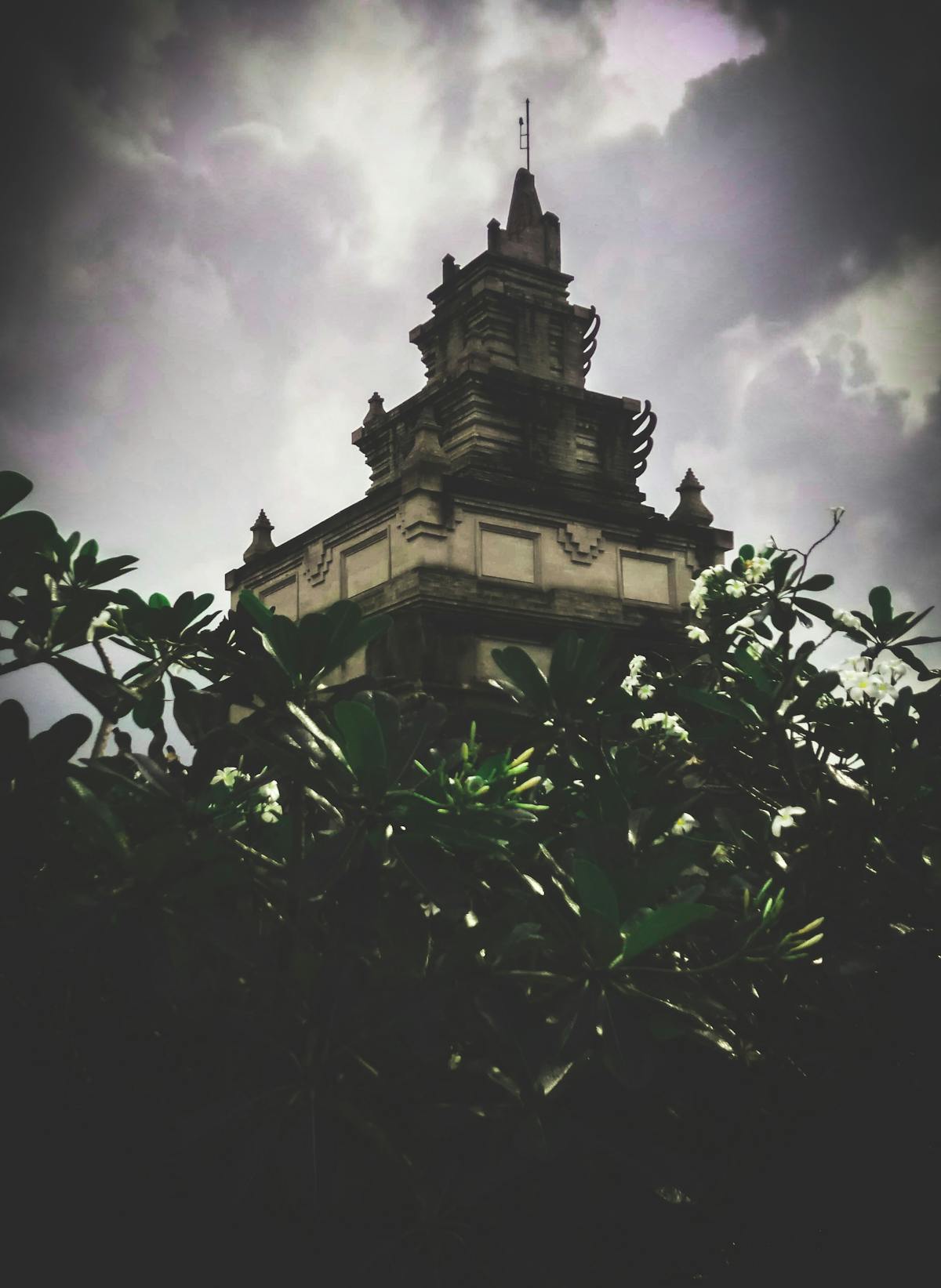 Baked salmon fillets with lemon slices and herbs