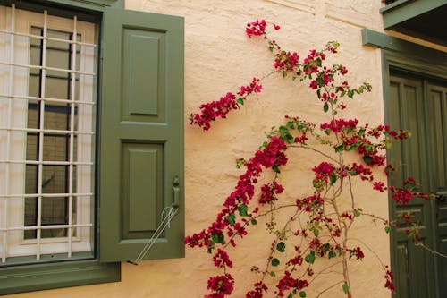 Darmowe zdjęcie z galerii z ateny, centrum miasta, drzwi