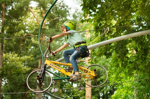 Free A child wearing a helmet rides a bike on a zipline in an adventure park surrounded by trees. Stock Photo