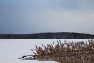 Brown Grass Near Body of Water