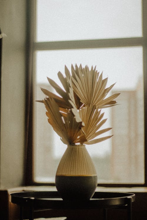 A Vase with Decorative Dried Plant