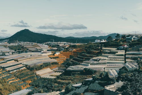 Dalat peaceful Sunday in the greenhouses valley 