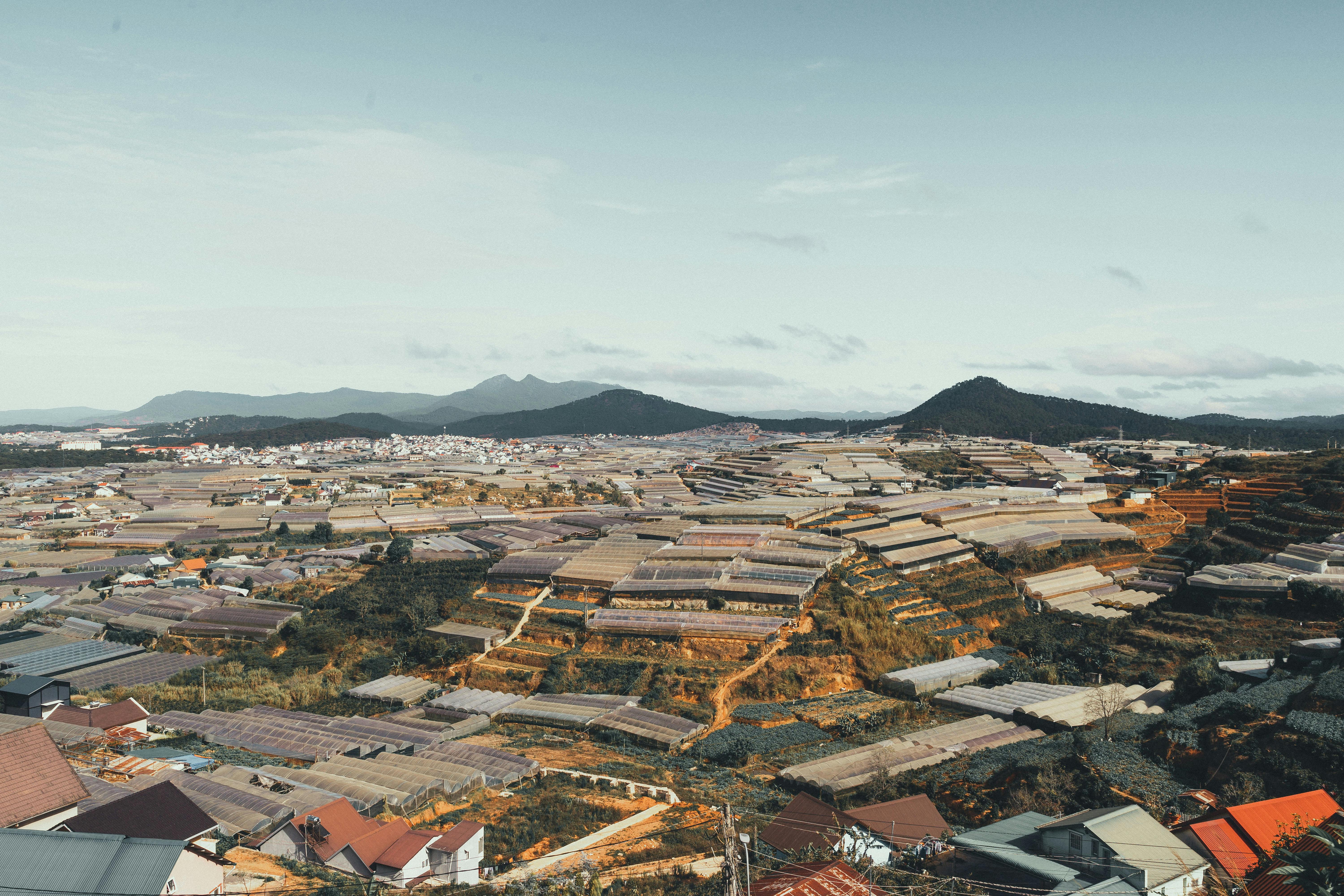 dalat peaceful sunday in the greenhouses valley