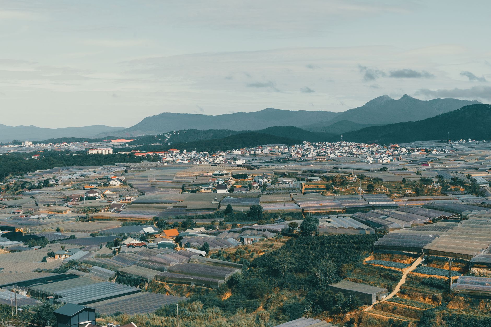Aerial view of Dalat's sprawling greenhouses and distant mountains under a cloudy sky.