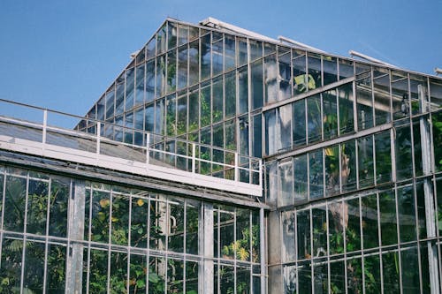 Greenhouse Under Blue Sky
