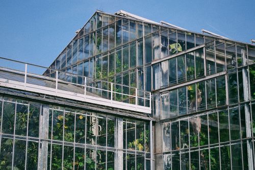 Free A large greenhouse with a glass exterior showcasing lush green plants against a clear blue sky. Stock Photo