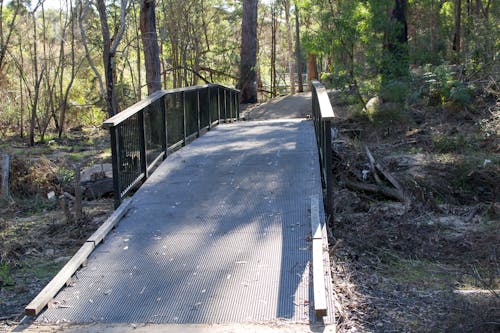 Free stock photo of bridge, pathway, trees