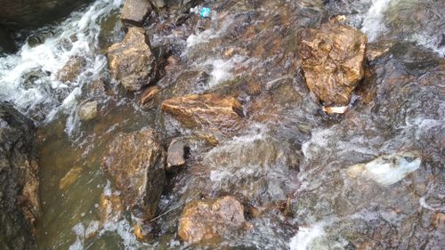 Free stock photo of nature photography, rocks, running water Stock Photo