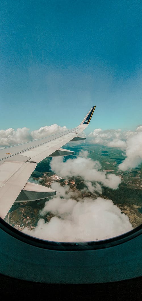 Foto profissional grátis de aeronave, céu, janela