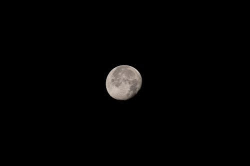 Free Moon on Dark sky Stock Photo
