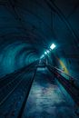 People Walking on Tunnel With Lights Turned on during Night Time
