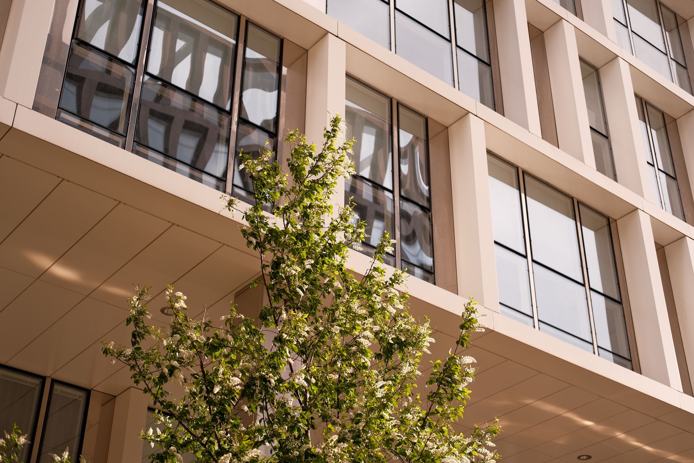 Modern Building Glass Window Architectural Design ยท Free Stock Photo