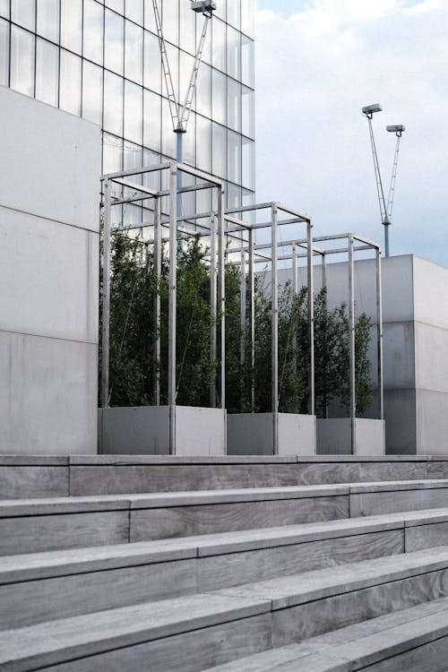 Trees in Front of a Modern Building 