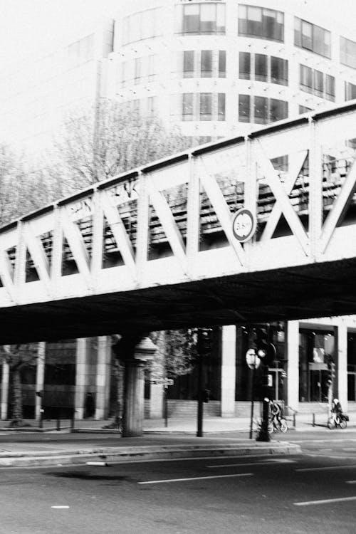 Fotos de stock gratuitas de bicicletas, blanco y negro, carretera