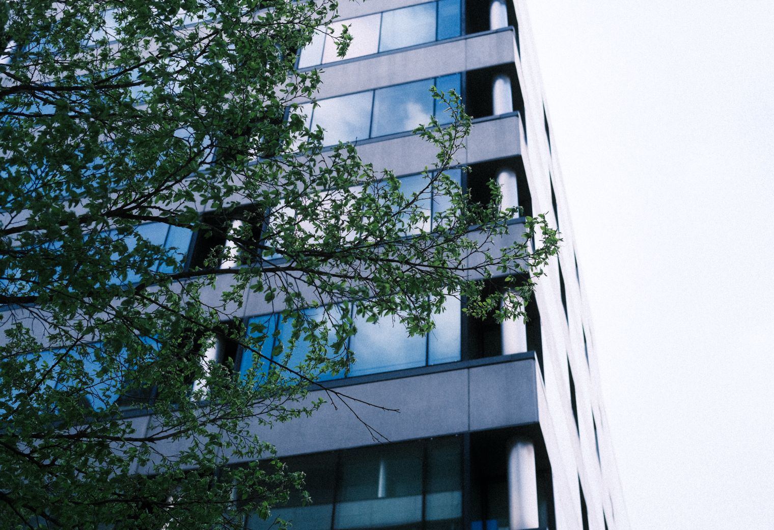 Commercial Decorating in Little Venice — a freshly painted, spotless finish