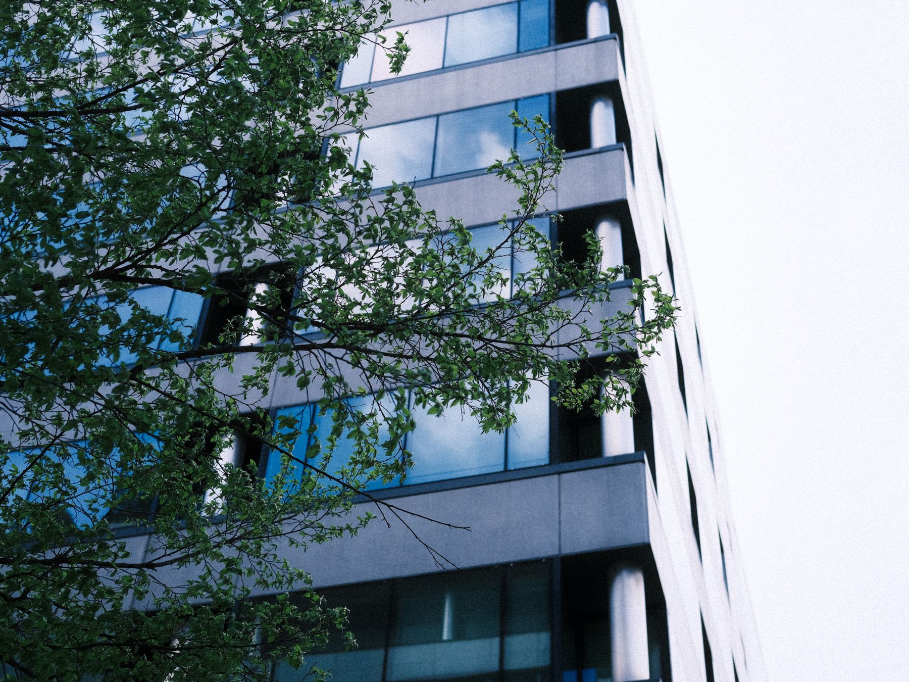 Commercial Decorating in Barnes Cray — clean edges cut in around trim and sockets