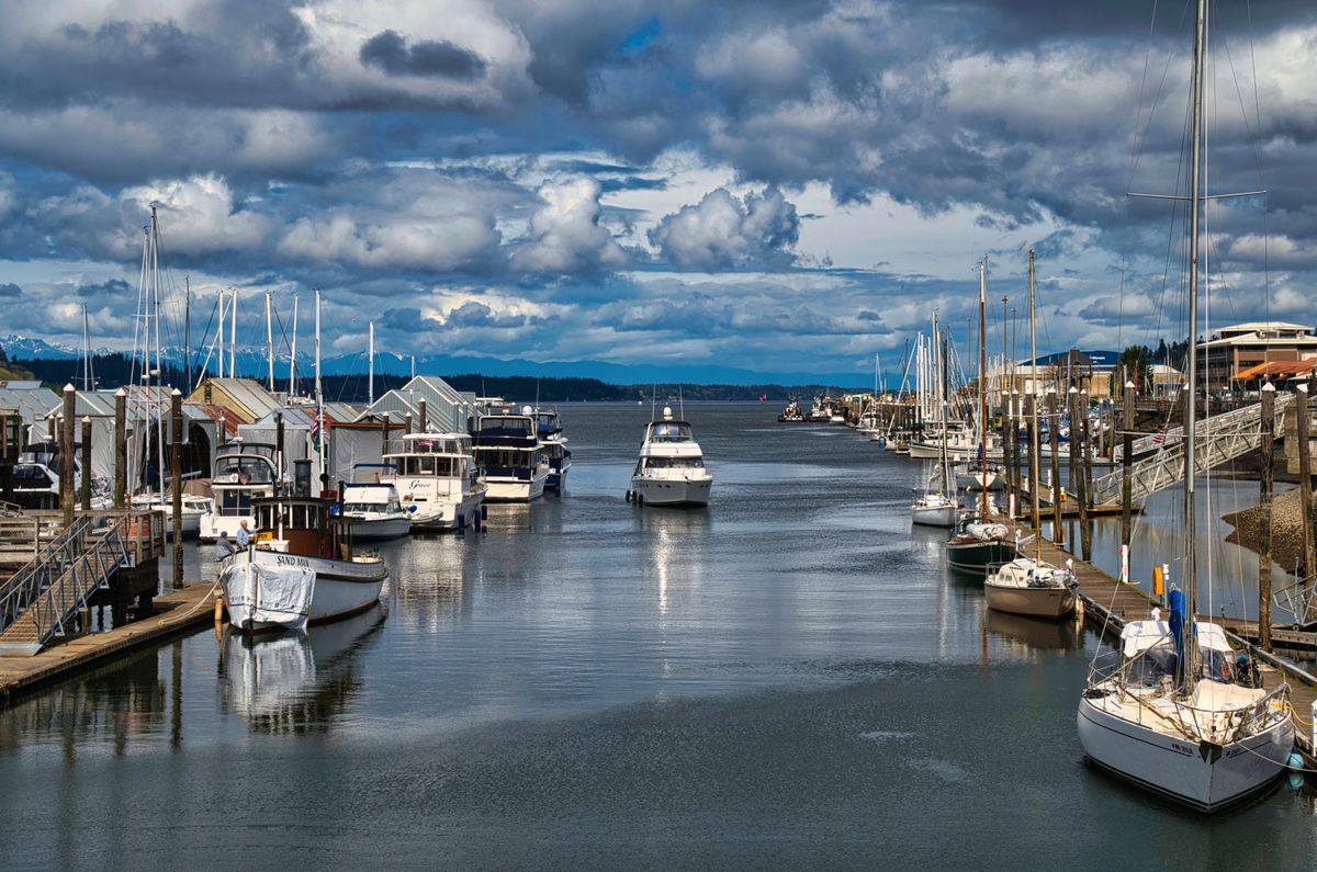 Olympia marina scene representing local market competition and business positioning
