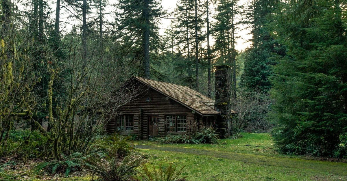Charming rustic cabin nestled in a lush Oregon forest surrounded by towering trees.