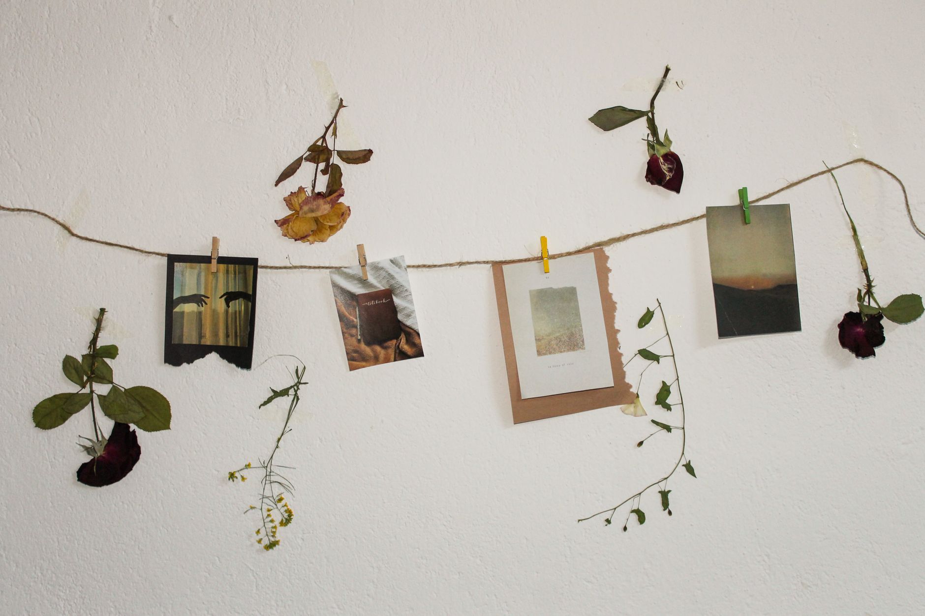 A creative display of hanging photos and dried flowers on a wall, showcasing a minimalistic still life arrangement.