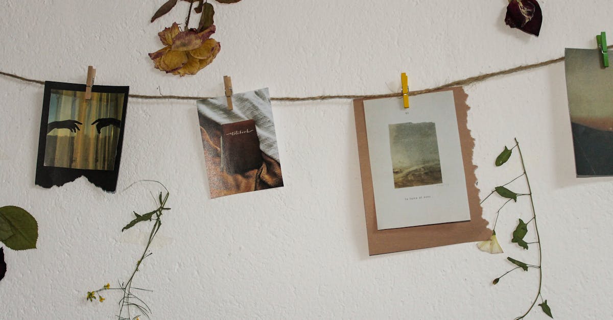 How to make pictures out of dried flowers